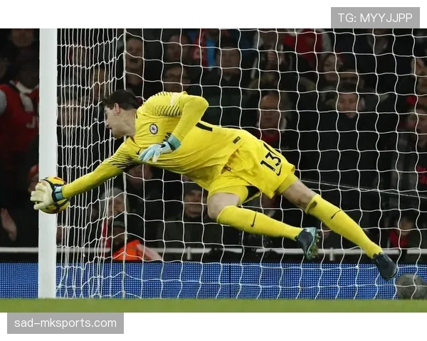 门将规则详解：如何判定有效扑救与禁区内违规行为